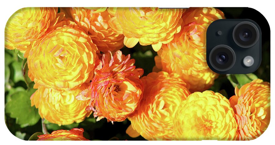Mums iPhone Case featuring the photograph Fall 2016 Series no. 1 by Verana Stark