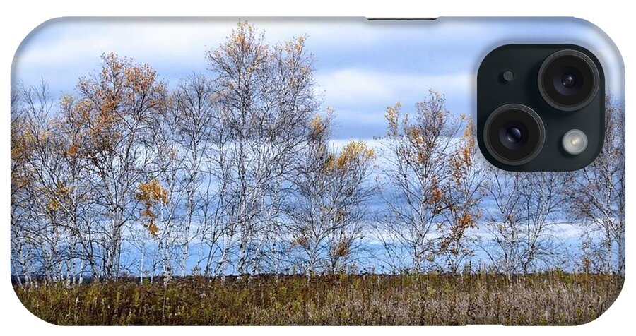 Fall Colors iPhone Case featuring the photograph Fall Birch by Michael Hall