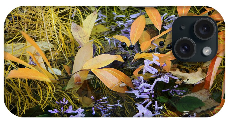 Flower iPhone Case featuring the photograph Fall Color Soup by Deborah Crew-Johnson