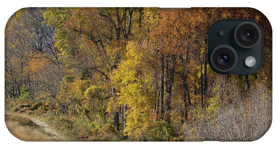 Landscape iPhone Case featuring the photograph Fall Colors as Oil by Paul Ross