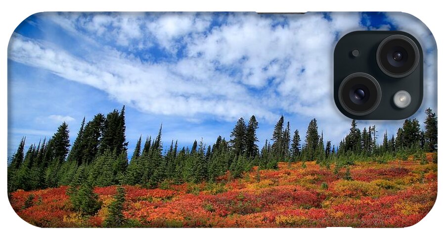 Fall Colors At Mount Rainier iPhone Case featuring the photograph Fall colors at Mount Rainier by Lynn Hopwood