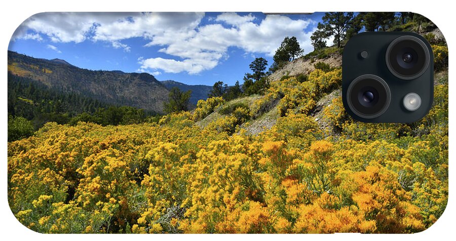 Humboldt-toiyabe National Forest iPhone Case featuring the photograph Fall Colors Come to Mt. Charleston by Ray Mathis