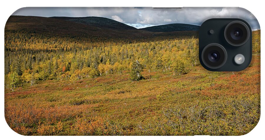 Rihmakuru iPhone Case featuring the photograph Fall Colors in Tundra by Aivar Mikko