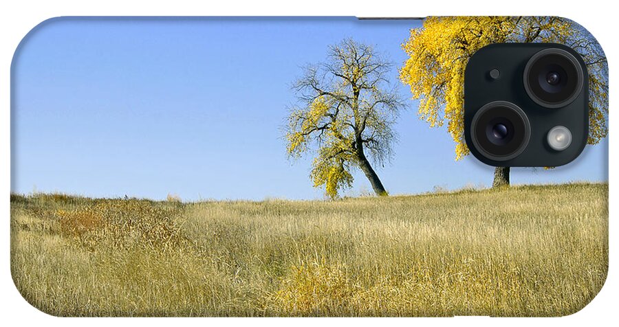 Fall. Blue. Sky. Weeds. Yellow. Grass. Fields. Water. Rain. Clouds.fall Colors Photography. Mixed Media. Mixed Media Photography. Mixed Media Fall Colors. Fine Art Fall Colors. Colorado Fall Colors. Fall Greeting Cards. Yellow Fall Color Photography. Fall Colors In Fort Collins Co. Gallery Fine Art Photography. Fall Landscape Photography. iPhone Case featuring the photograph Fall days in Fort Collins CO by James Steele