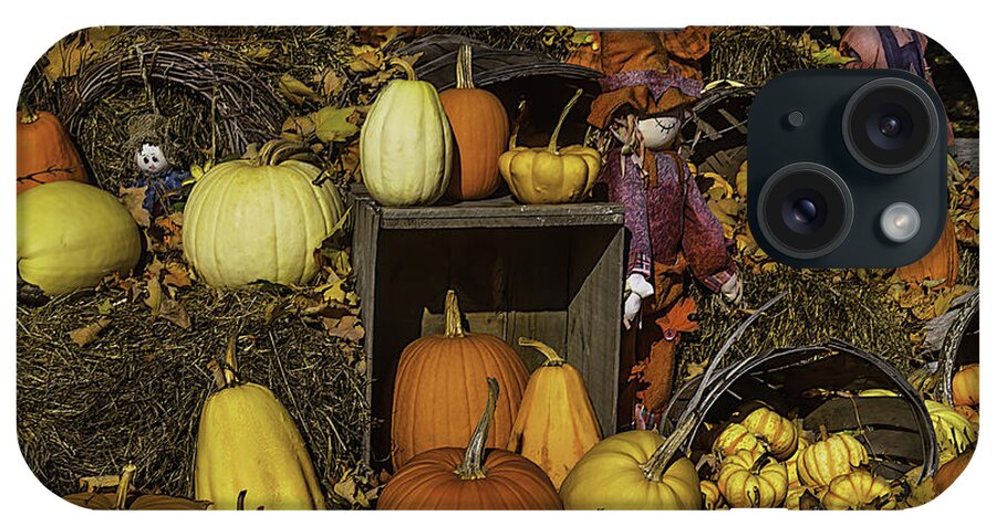 Pumpkins iPhone Case featuring the photograph Fall Farm Stand by Garry Gay