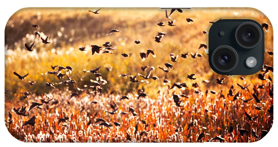Fall iPhone Case featuring the photograph Fall Flock by Todd Klassy