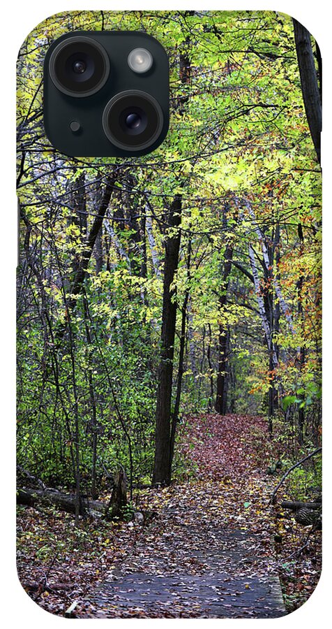 Fall iPhone Case featuring the photograph Fall Forest 1 110417 by Mary Bedy