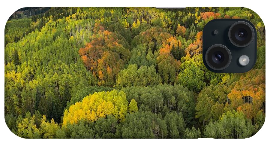 Aspen iPhone Case featuring the photograph Fall in Colorado by Rand Ningali