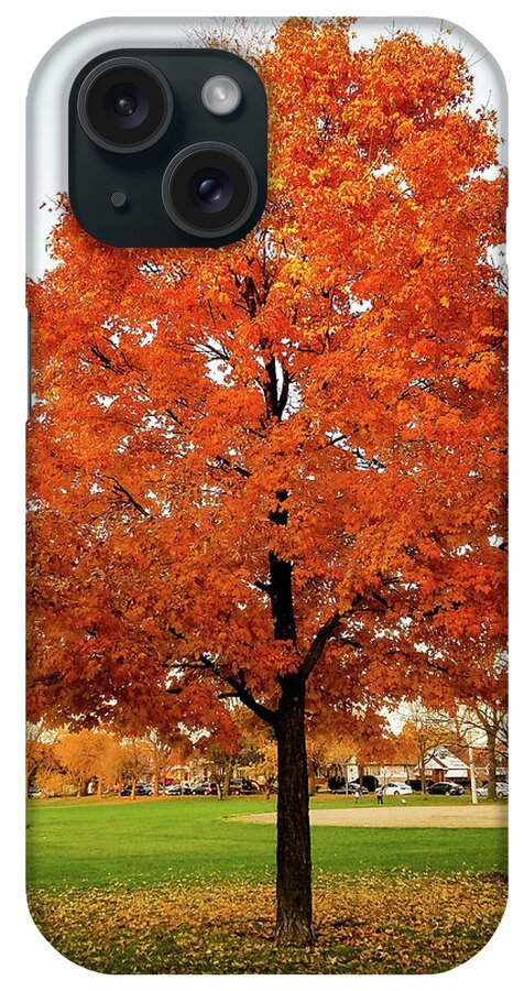 Young Maple Tree iPhone Case featuring the photograph Fall is Coming by Britten Adams