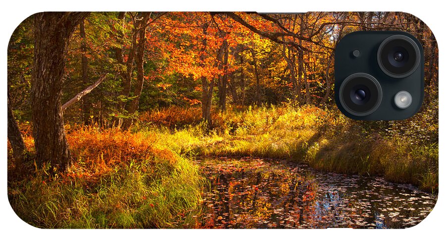 Kelly River Wilderness iPhone Case featuring the photograph Fall Meadow Along The Kelly River by Irwin Barrett