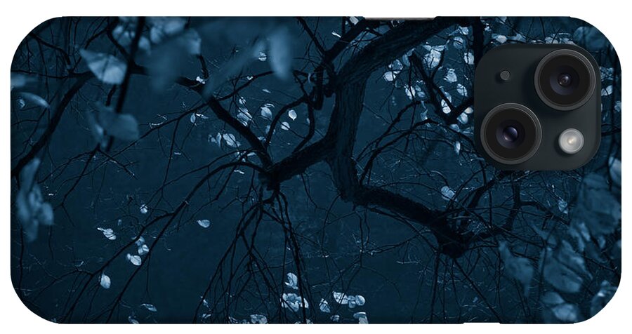 Tree iPhone Case featuring the photograph Lost In Blue by Dorit Fuhg