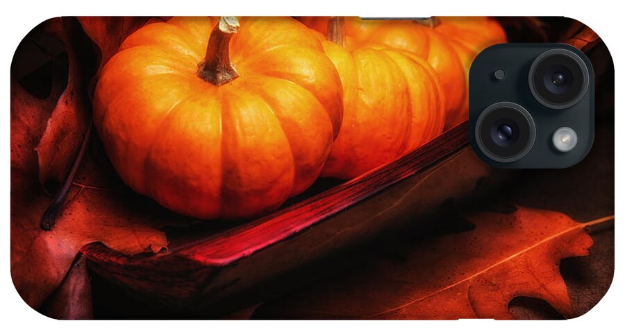 Autumn iPhone Case featuring the photograph Fall Pumpkins Still Life by Tom Mc Nemar