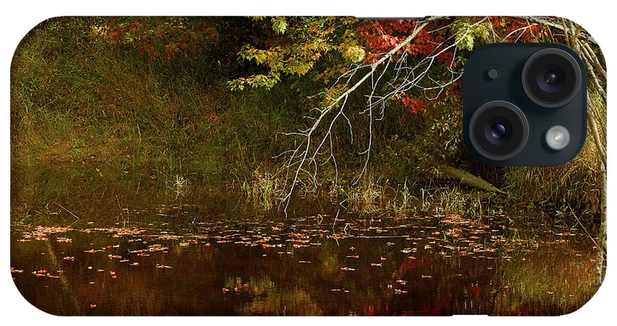 Fall iPhone Case featuring the photograph Fall Reflections by Cindi Ressler