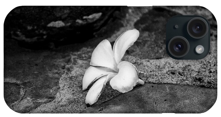 Black And White iPhone Case featuring the photograph Fallen Frangipani by Christi Kraft