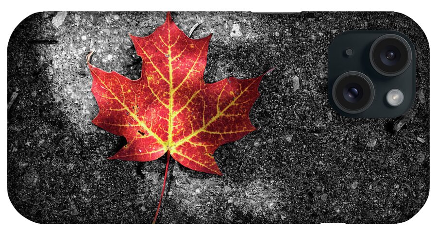 Photography iPhone Case featuring the photograph Fallen Leaf by Nicola Nobile