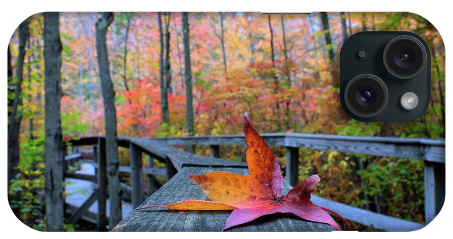 Digital Art iPhone Case featuring the digital art Fallen Maple Leaf by Melinda Dreyer