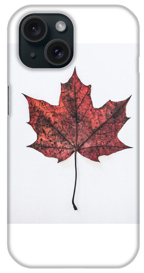 Autumn Colours iPhone Case featuring the photograph Fallen Red by Kate Morton