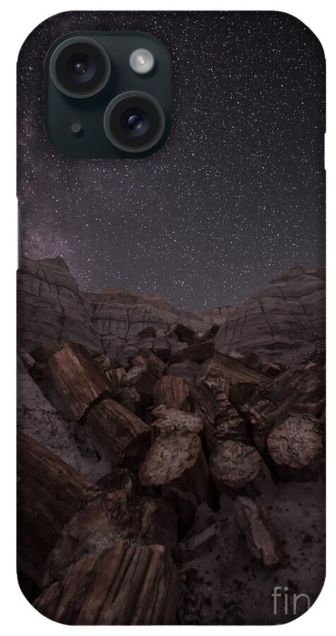 Petrified Forest iPhone Case featuring the photograph Falling by Melany Sarafis