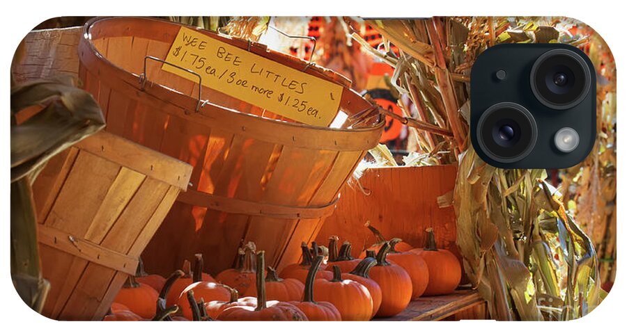 Pumpkins iPhone Case featuring the photograph Farmer's Market by Jim Garrison