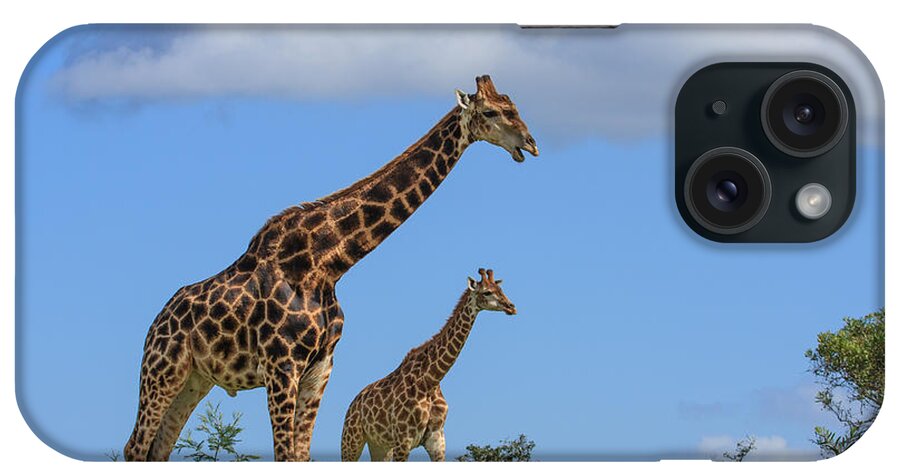Giraffe iPhone Case featuring the photograph Father and Son Giraffe by Jennifer Ludlum