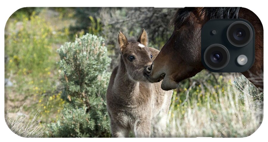 Horses iPhone Case featuring the photograph Father and Son talking story. by Waterdancer 