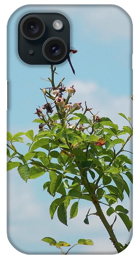 Fathers Day iPhone Case featuring the photograph Fathers Day Visit by Matthew Seufer