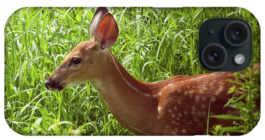 Landscape iPhone Case featuring the photograph Fawn in the Meadow by Virginia Folkman