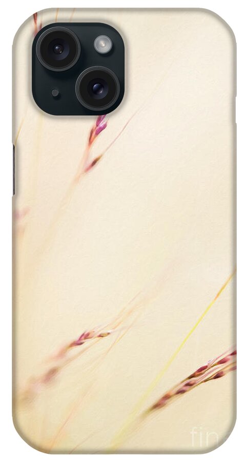 Seeds iPhone Case featuring the photograph Feather Grass by Tim Gainey