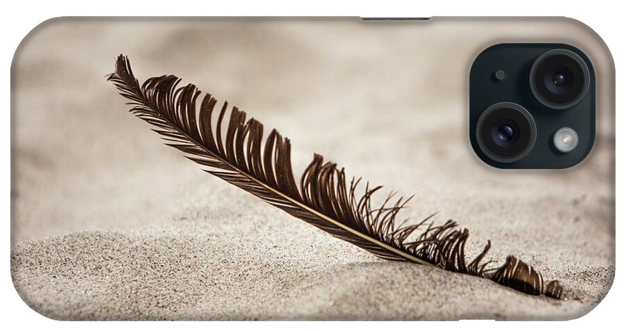 Feather iPhone Case featuring the photograph Feather in the sand by Jason Hughes
