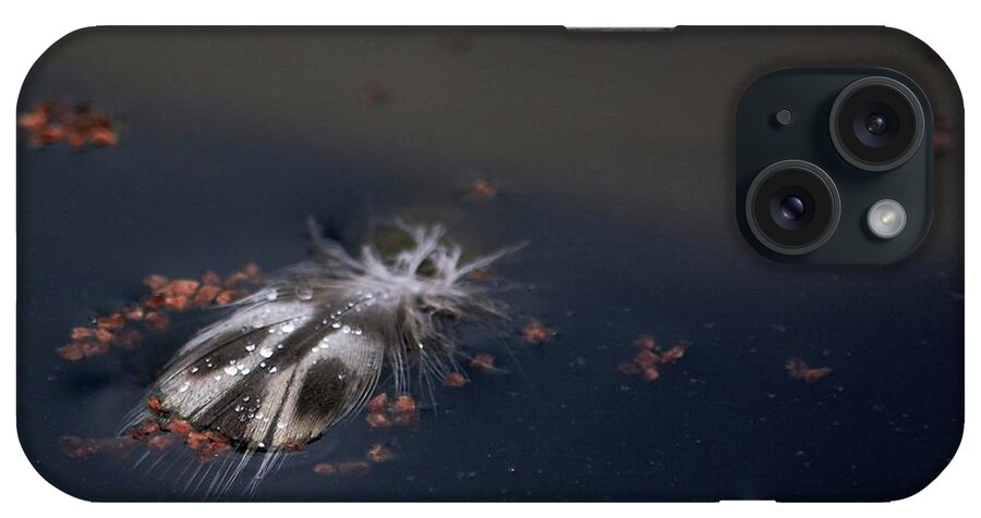 Feather iPhone Case featuring the photograph Featherbug by Angela Murray