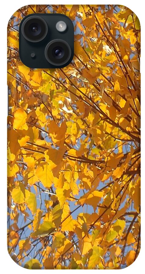 Abstract iPhone Case featuring the photograph Feathery Fan Of Leaves by Christina Verdgeline