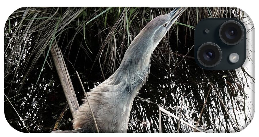 American Bittern iPhone Case featuring the photograph Feeling Threatened by I'ina Van Lawick