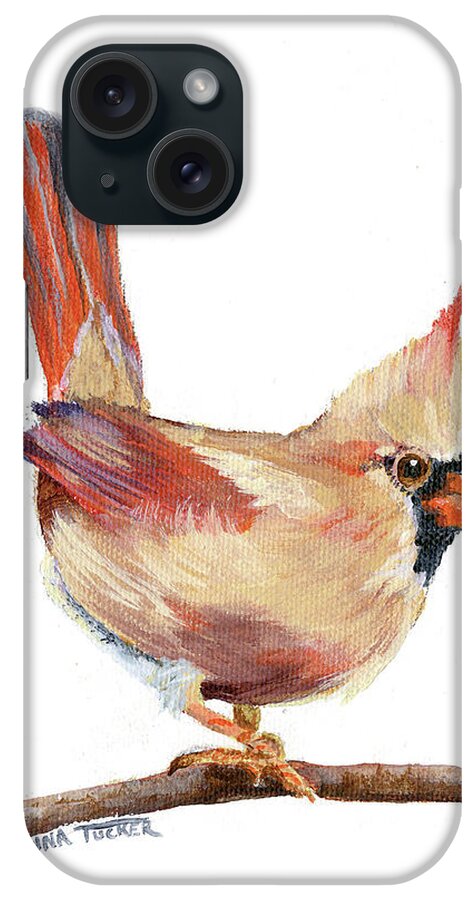Cardinal iPhone Case featuring the painting Female Cardinal by Donna Tucker