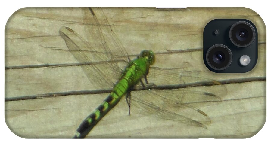 Female iPhone Case featuring the photograph Female Eastern Pondhawk Dragonfly by Rockin Docks Deluxephotos