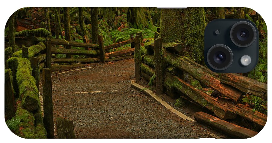 Cathedral Grove iPhone Case featuring the photograph Fence Through The Forest by Adam Jewell