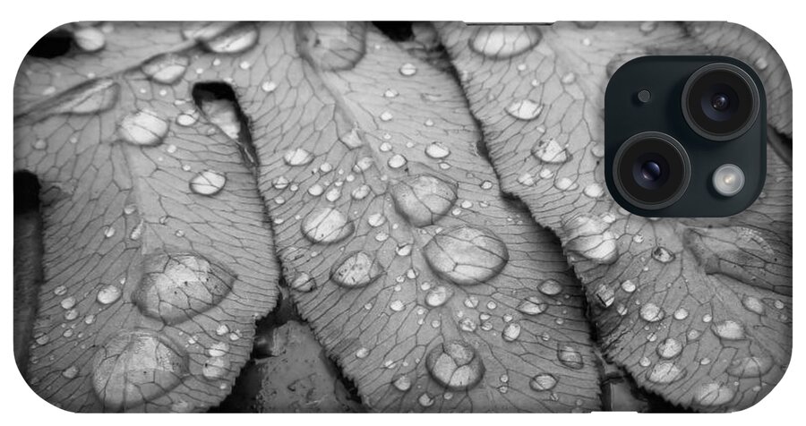 Nature iPhone Case featuring the photograph Fern Drops in Black and White by Deborah Smith