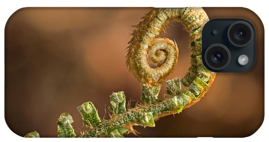 Fern Frond iPhone Case featuring the photograph Fern Frond - 365-39 by Inge Riis McDonald