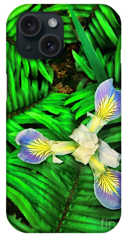 Dave Welling iPhone Case featuring the photograph Fern Leaves Frame A Mountain Iris Iris Douglasiana Wild California by Dave Welling