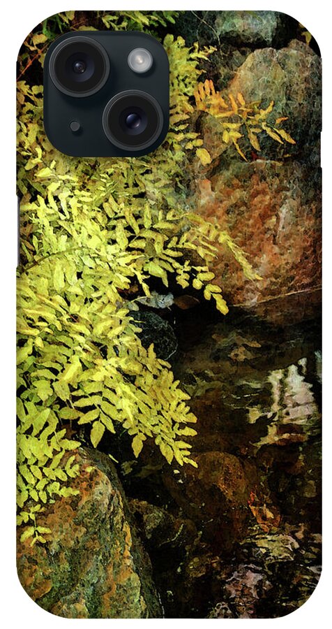 Ferns iPhone Case featuring the photograph Ferns Along the Brook 6318 DP_2 by Steven Ward