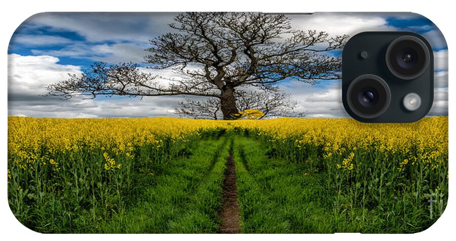 Yellow Field iPhone Case featuring the photograph Field Of Rapeseeds by Adrian Evans