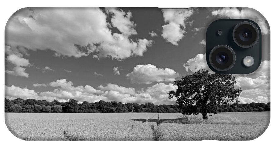 Field Of Wheat iPhone Case featuring the photograph Field of Wheat by Julia Gavin