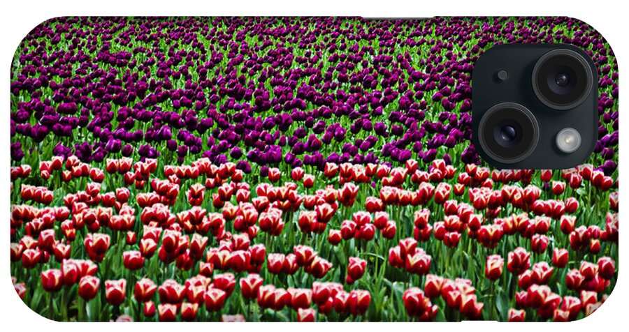 Elegant iPhone Case featuring the photograph Fields of Tulips by Pelo Blanco Photo
