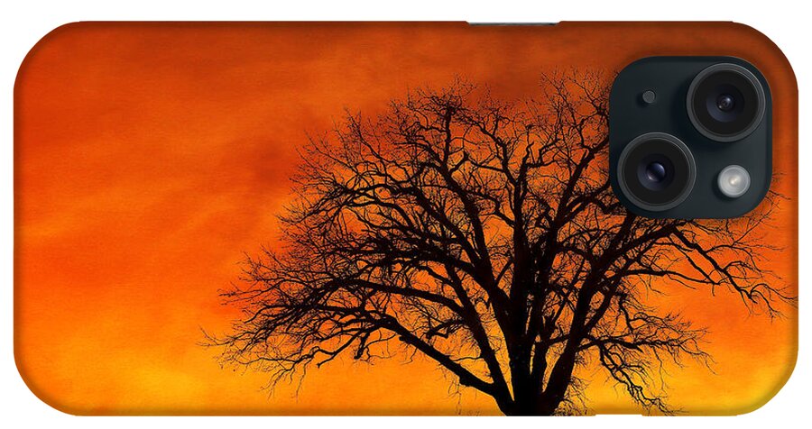 Tree iPhone Case featuring the photograph Fiery Treescape by Clare VanderVeen