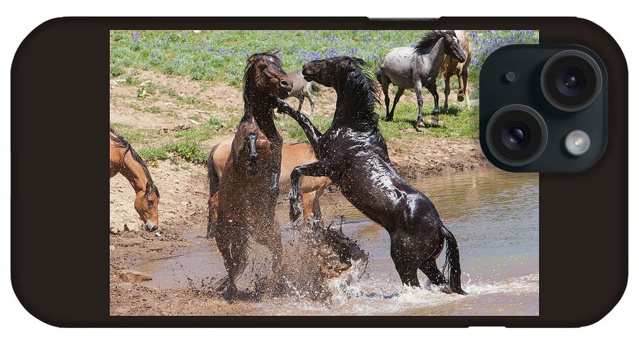 Wild Stallions iPhone Case featuring the photograph Fight at the Water Hole Wild Stallions by Mark Miller