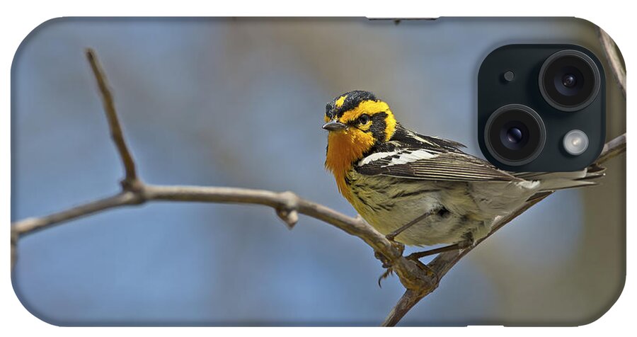 Blackburnian Warbler iPhone Case featuring the photograph Fire Throat... by Nina Stavlund
