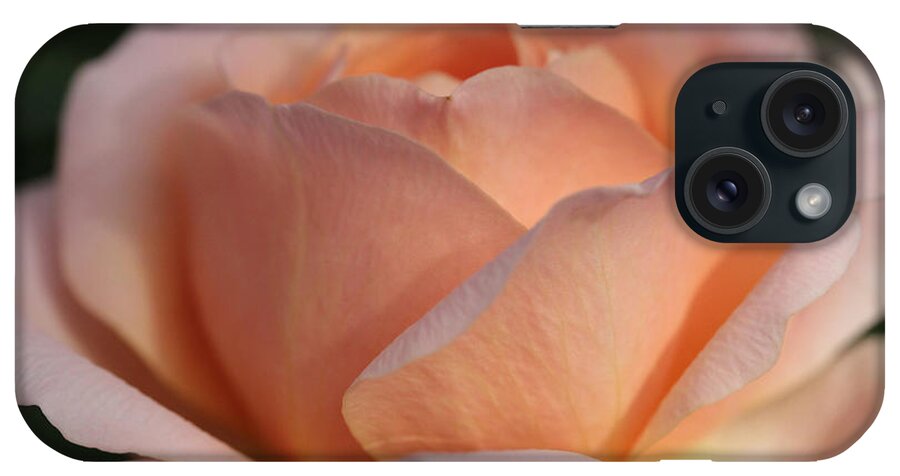 Rose iPhone Case featuring the photograph Fireside by Connie Handscomb