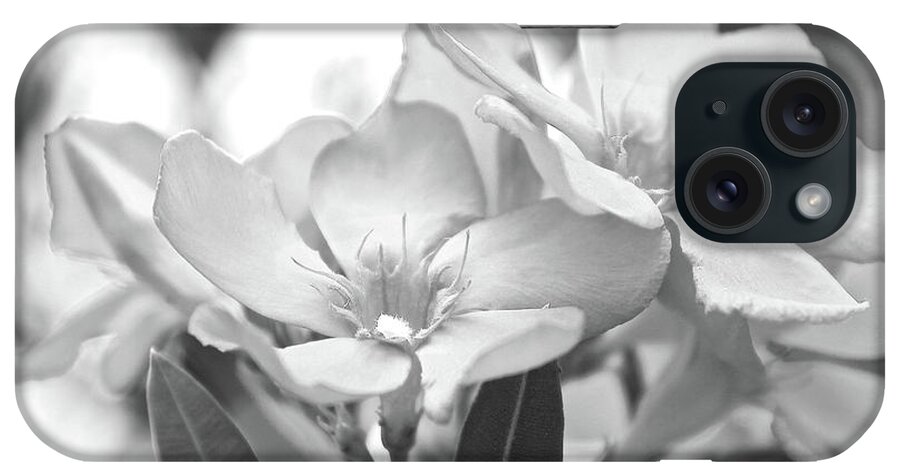 Oleander iPhone Case featuring the photograph Firewalker SW1 by Wilhelm Hufnagl