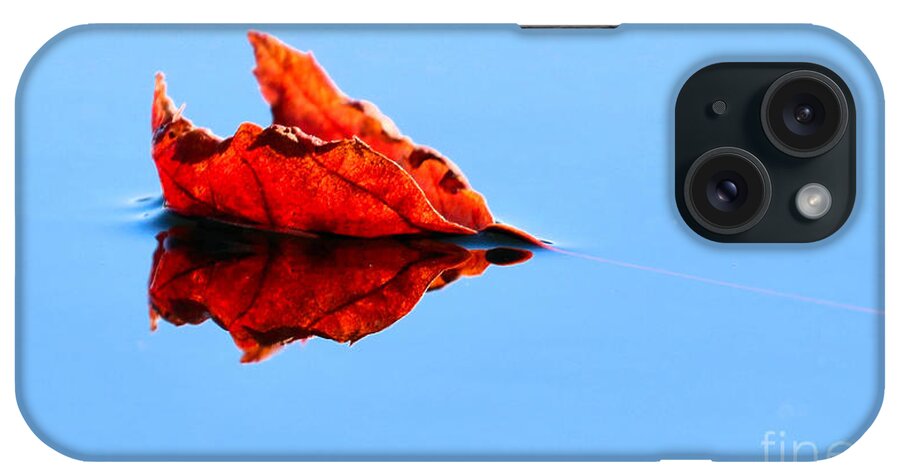 Minimalism iPhone Case featuring the photograph First Fall Leaf by Sandra Huston