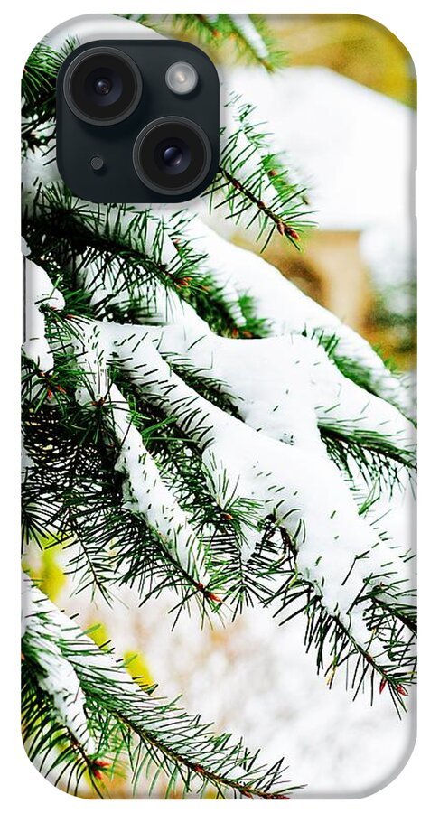 First Snow iPhone Case featuring the photograph First Snow by Anna Porter