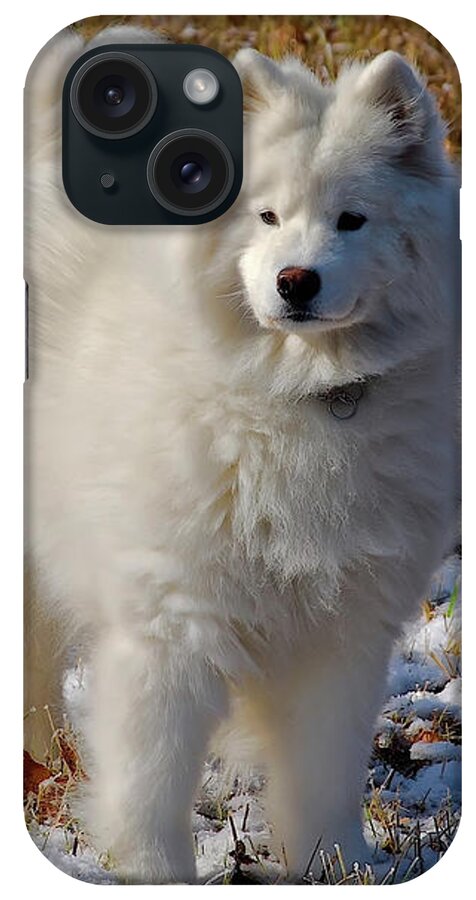 Dog iPhone Case featuring the photograph First Snow by Lois Bryan